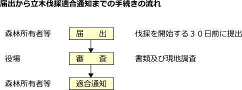 届出から立木伐採適合通知までの手続きの流れ