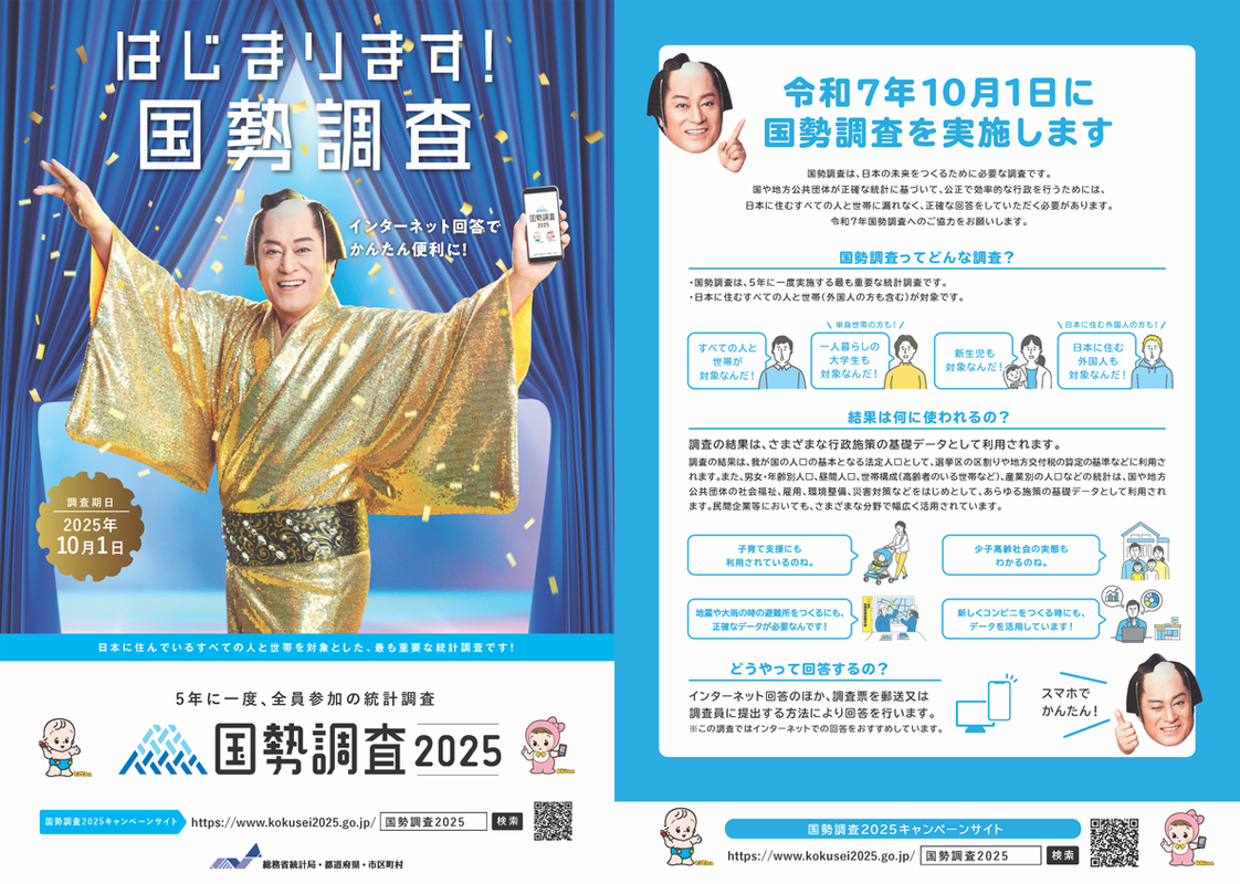 国政調査リーフレット