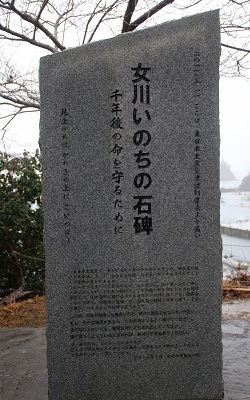 女川いのちの石碑外観（女川いのちの石碑・竹浦）