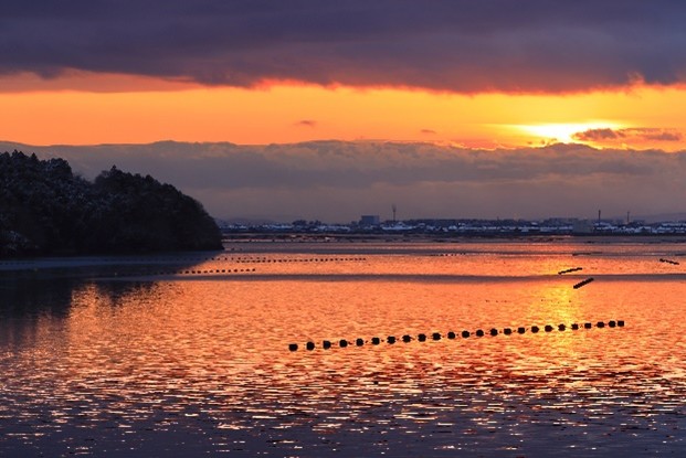 サムネイル画像 出島初日の出を見る会
