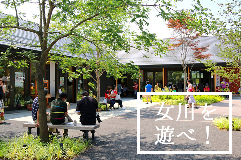 女川駅周辺満喫コースイメージ写真(シーパルピア女川中庭)